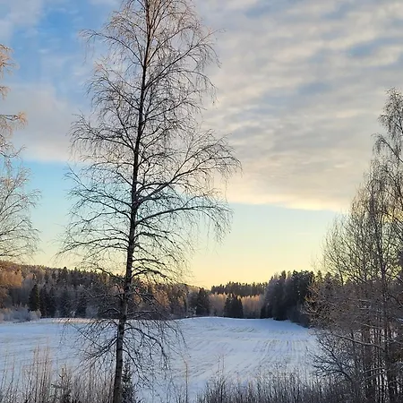 Hirsitalo Ja -sauna Nummi